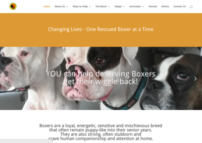 Web Design Allentown PA